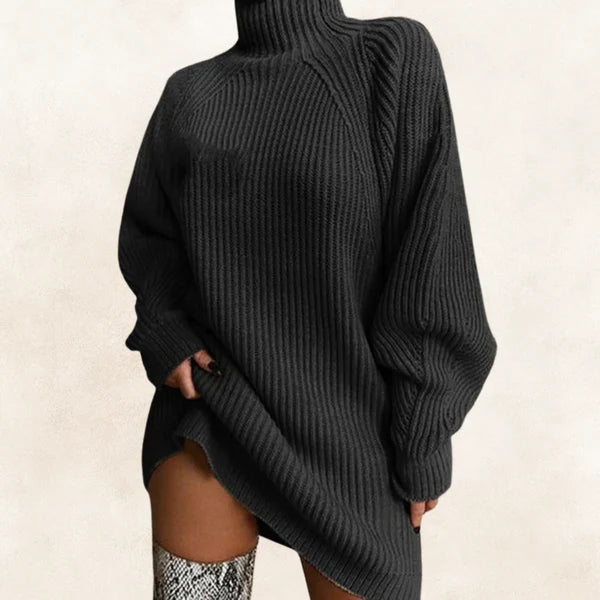 Eline | Turtleneck Sweater Dress