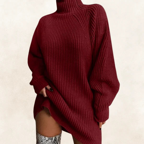 Eline | Turtleneck Sweater Dress
